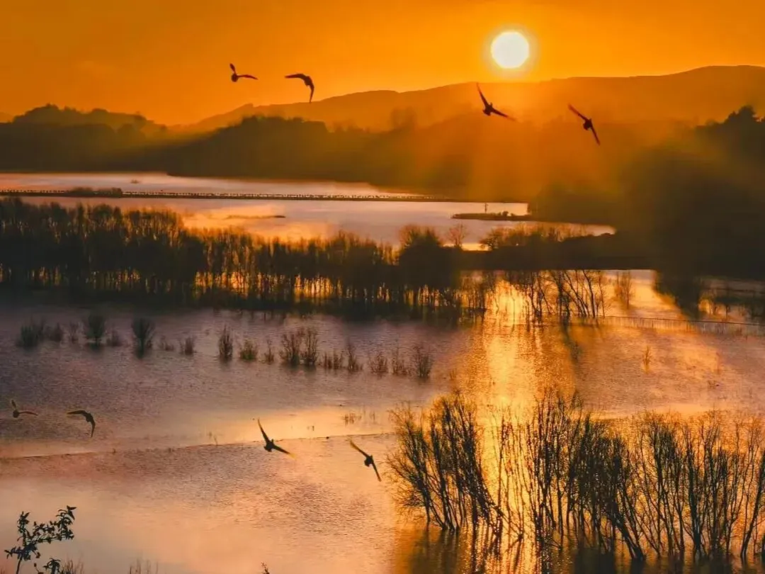 中考作文高分突破 | 《最好的作品》 第14张