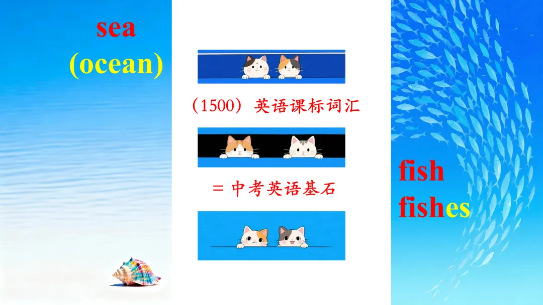 济宁市高新区初中英语学科中考复习专题活动2025-12-25 第82张