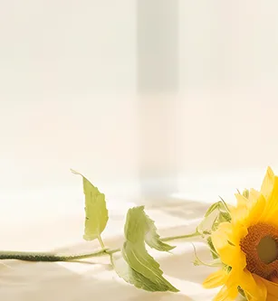 中考英语听力与新考法 第10张