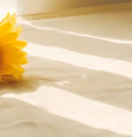 中考英语听力与新考法 第12张