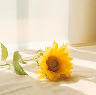 中考英语听力与新考法 第25张