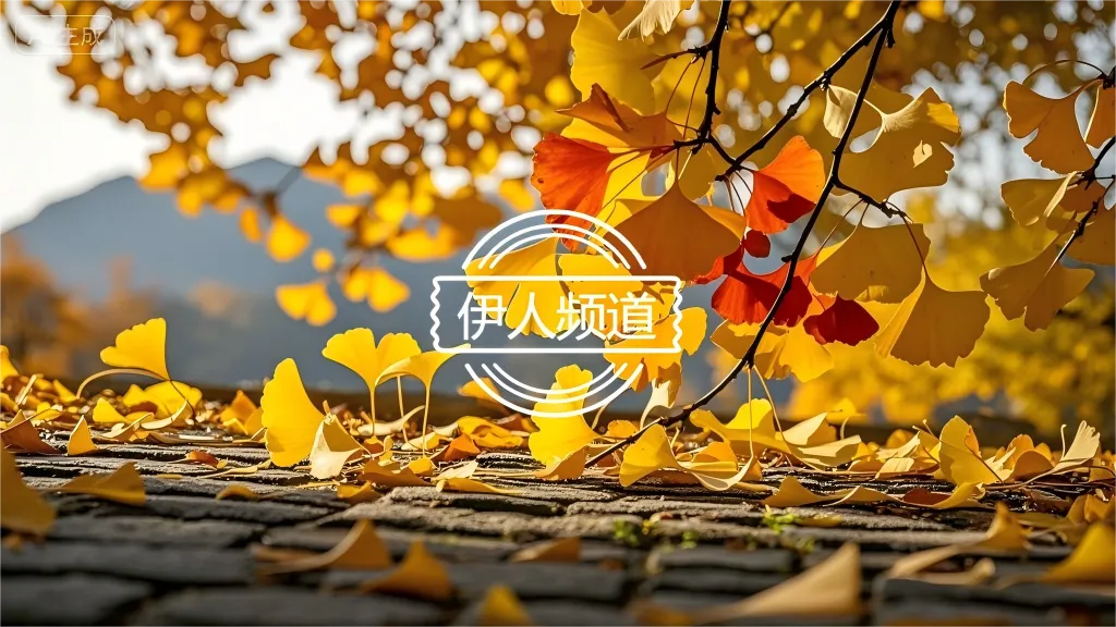 2026中考满分作文周周练:《原来我也拥有这么多》《珍惜拥有,幸福常伴》范文 第2张 2026中考满分作文周周练:《原来我也拥有这么多》《珍惜拥有,幸福常伴》范文 第2张