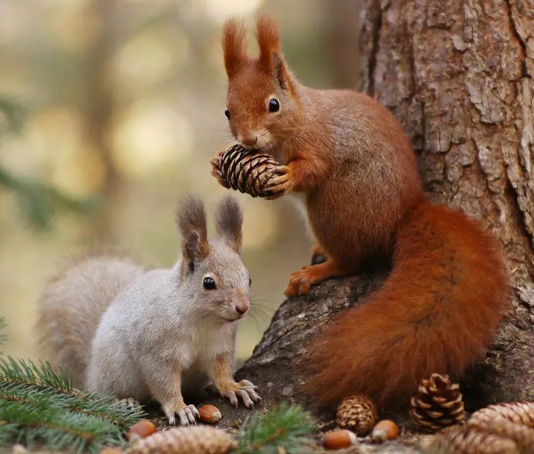 2025年宁夏自治区中考英语试题及答案(精校word版) 第7张
