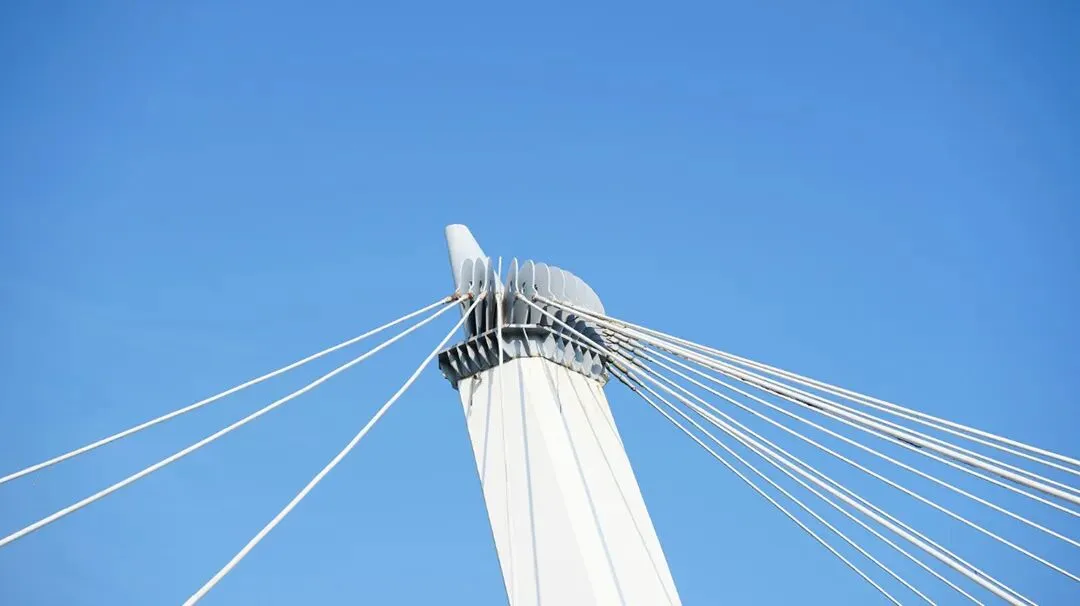 深度分析杭州中考中本一体上篇 第3张