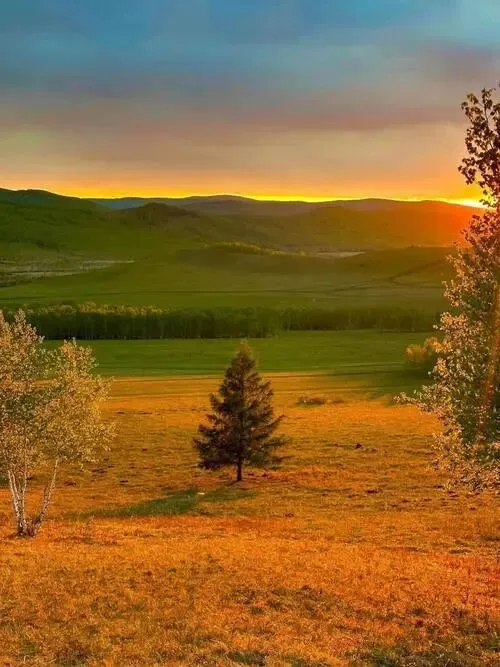 中考词句朗读技巧阅读题型专题训练 第1张