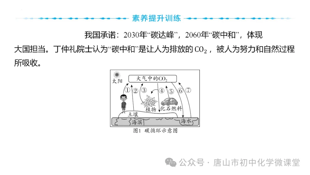 2025化学中考一轮复习课标新方向——跨学科项目式中考新题型PPT,免费下载! 第31张