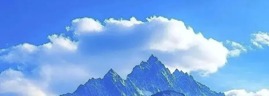 中考/期末复习:九上语文基础知识训练+古诗默写鉴赏+古文对比阅读(word版) 第4张