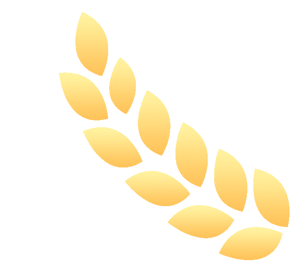 牧羊17聊升学-【4.成都中考报名&升学区域划分】 第12张