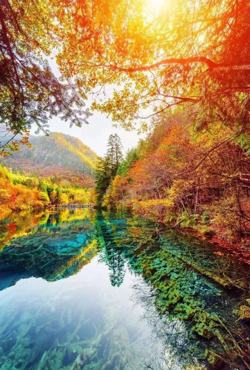 智慧谷初中地理中考复习课件五版合集, 增加了新课标教学设计和导学案 第15张