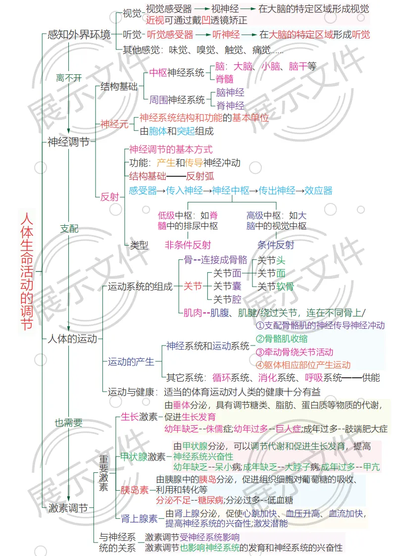 期末_中考稳了!这份人教版八年级上册生物讲义,精准抓分不费力 第1张