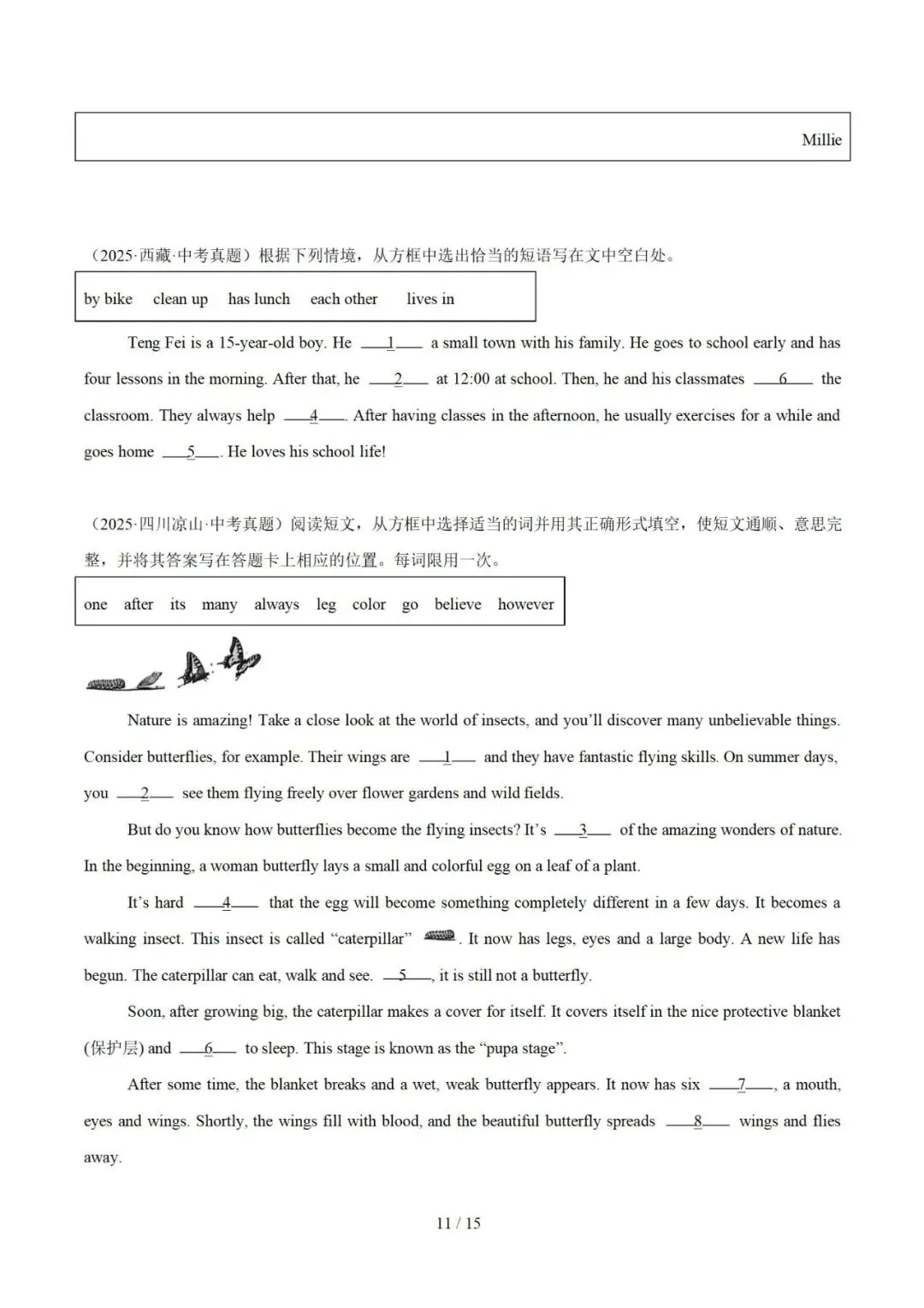 2026年中考英语:选词填空(专项训练) 第13张