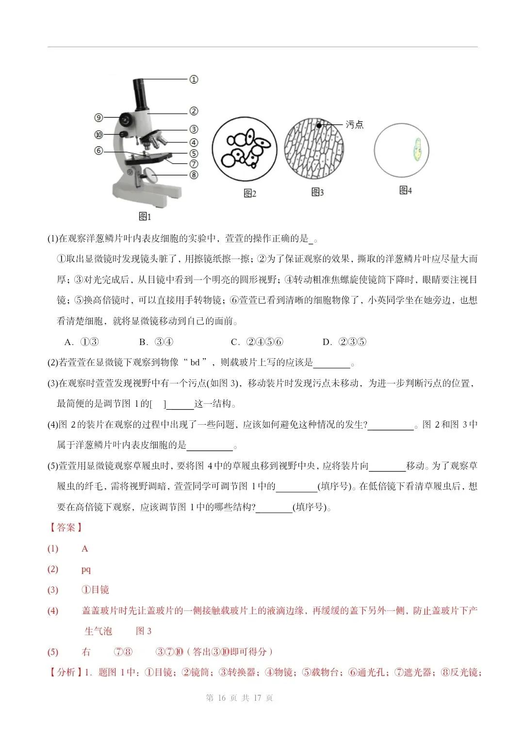初中生物中考总复习清析训练共19个专题知识易错点+易错字+易错必刷题+常见错因+避错攻略+解析 专题03显微镜的构造和使用 截图 第17张