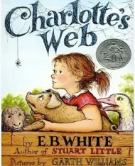 资料分享:2025年广东省深圳市31校中考一模英语试题(2月) 第4张