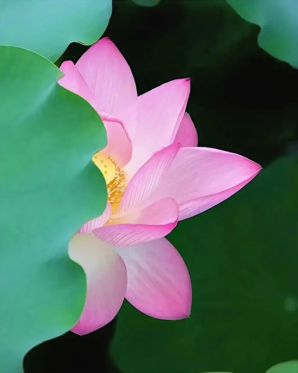 丽水市2026年中考体育抽考项目定了 第16张