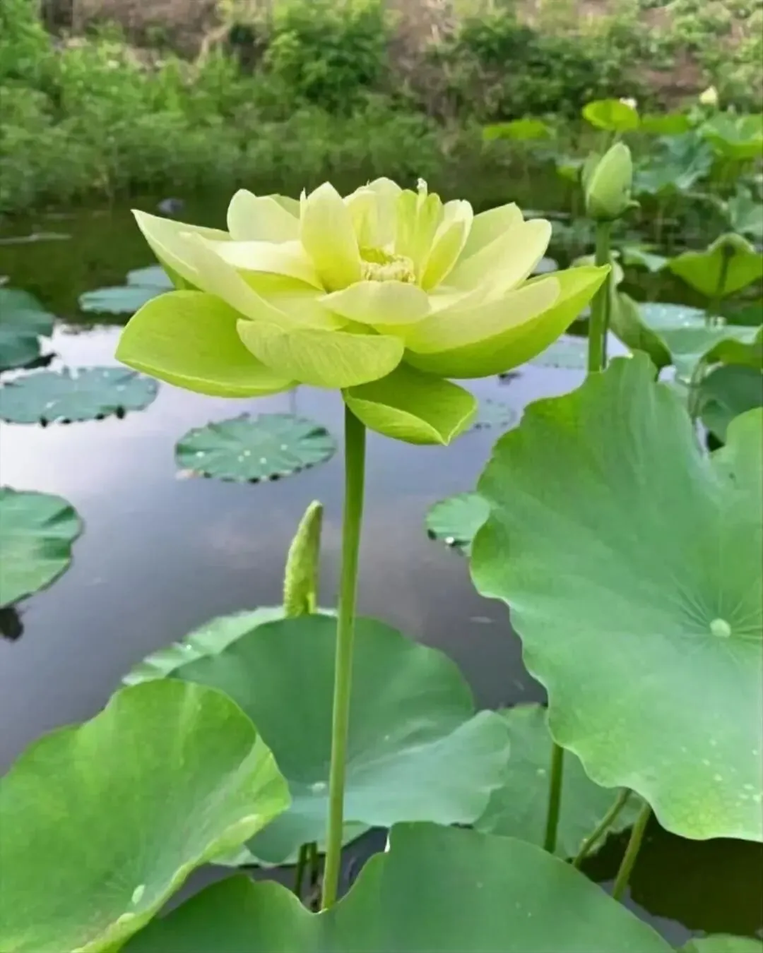 丽水市2026年中考体育抽考项目定了 第17张