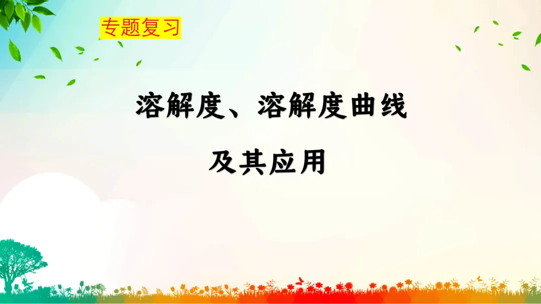 F386 中考专题复习 初中化学《溶解度、溶解度曲线及其应用》 课件PPT+教学设计Word 第2张