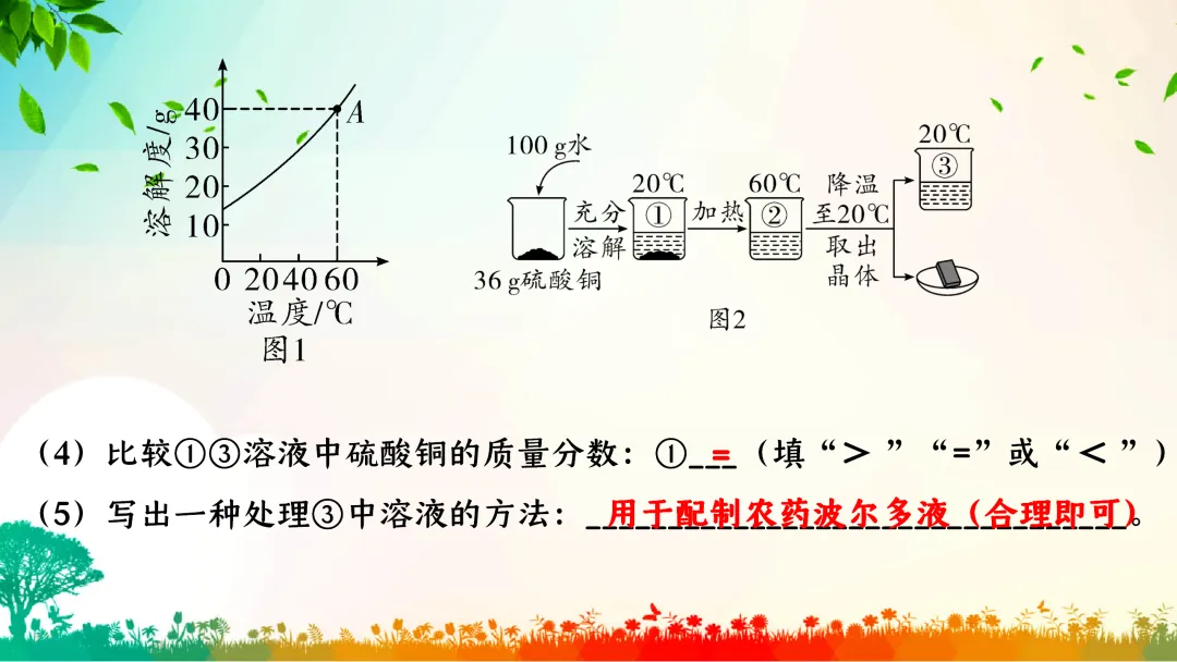 F386 中考专题复习 初中化学《溶解度、溶解度曲线及其应用》 课件PPT+教学设计Word 第42张