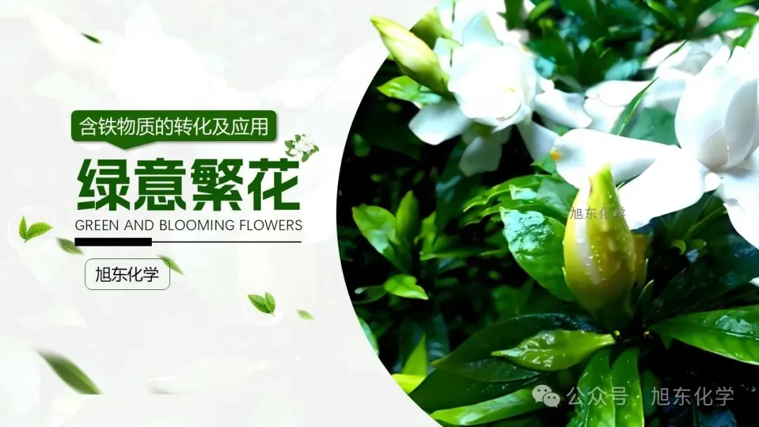 中考化学复习课件 | 小茶垢,大学问 第22张