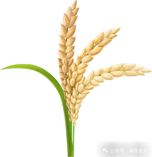 中考作文真题全攻略|《______的觉醒》(2025湖北中考) 第1张