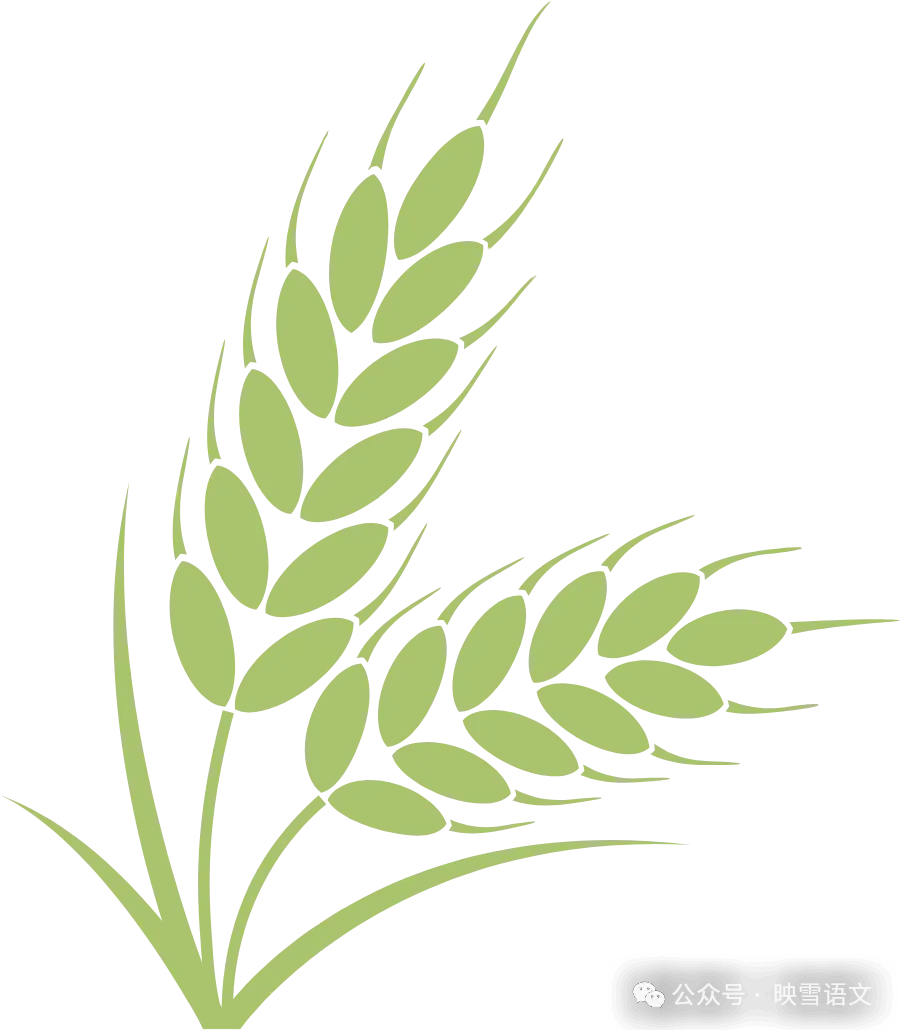 中考作文真题全攻略|《______的觉醒》(2025湖北中考) 第5张