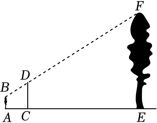 2025年四川省绵阳市中考数学真题试卷 第29张 2025年四川省绵阳市中考数学真题试卷 第29张