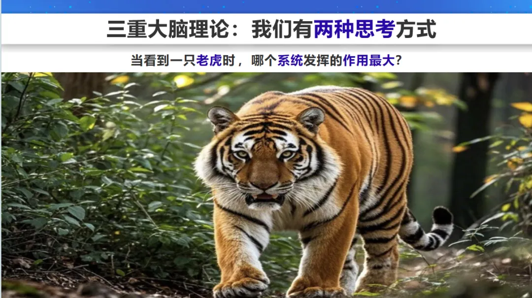 【心理护航·助力中考】运用脑科学,激发心动力|我校桃苑校区初三年级开展考前心理辅导讲座 第21张 【心理护航·助力中考】运用脑科学,激发心动力|我校桃苑校区初三年级开展考前心理辅导讲座 第21张