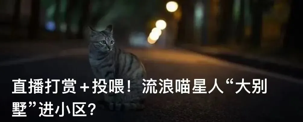 上海中考疑似泄题?市教育考试院回应! 第6张