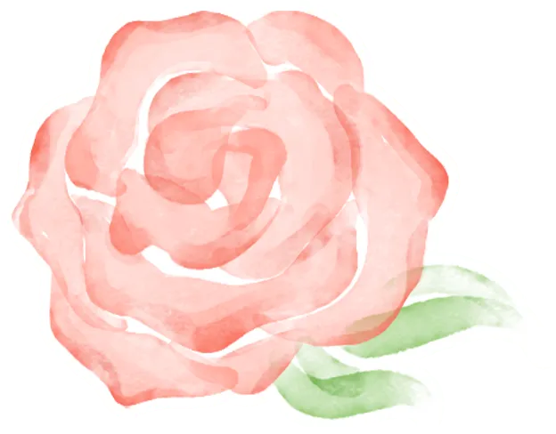 2026《金考卷中考真题》分类训练(数学、英语、物理) 第2张