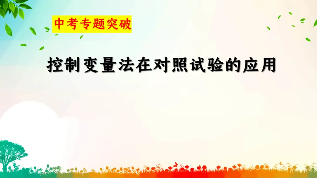 F391 中考专题复习 备战2026 初中化学《专题复习--控制变量法在对照试验的应用》 课件PPT+教学设计Word 第2张