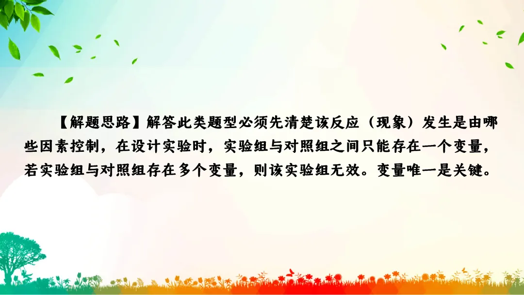 F391 中考专题复习 备战2026 初中化学《专题复习--控制变量法在对照试验的应用》 课件PPT+教学设计Word 第7张