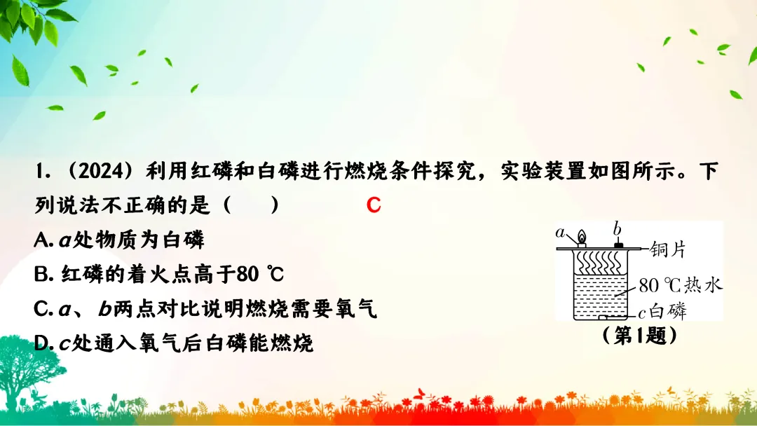 F391 中考专题复习 备战2026 初中化学《专题复习--控制变量法在对照试验的应用》 课件PPT+教学设计Word 第8张