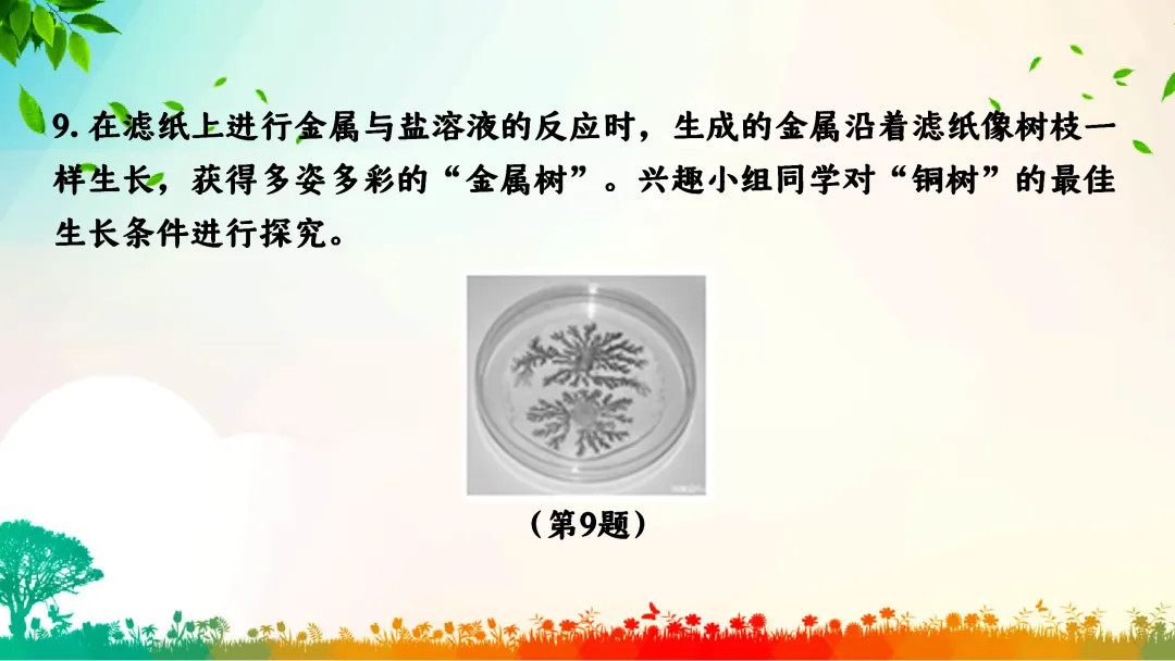 F391 中考专题复习 备战2026 初中化学《专题复习--控制变量法在对照试验的应用》 课件PPT+教学设计Word 第24张