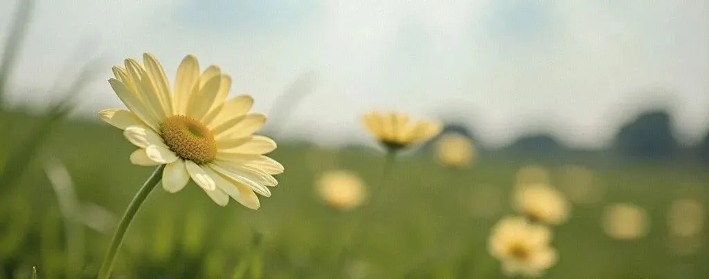 中考英语写作训练:林东的发言 第1张