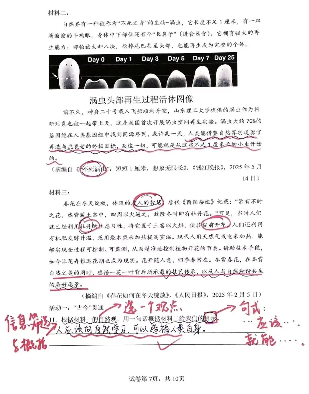 2025年中考语文真题卷拆解分析—浙江省 第8张