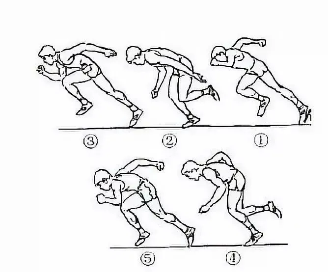重要提醒:不可低估中考体育50米跑难度(附训练方法+常见错误) 第3张