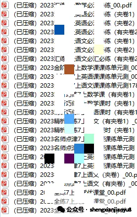 2026 中考加分 一轮总复习 英语 专项突破 第15张