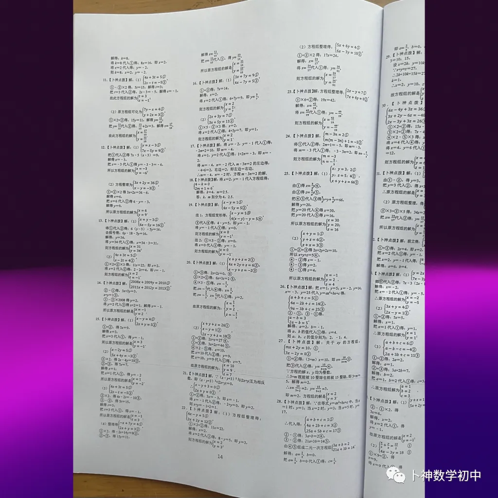 算你狠!《名校中考计算能力限时训练》全套共10辑/有理数/整式加减乘除/因式分解/分式/解方程/解方程组/解不等式等 第21张