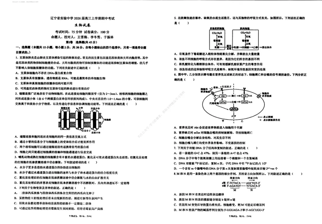【辽宁卷】【辽宁省实验中学】【期中考】辽宁省实验中学2026届高三上学期期中考试(11.18 开考) 第3张