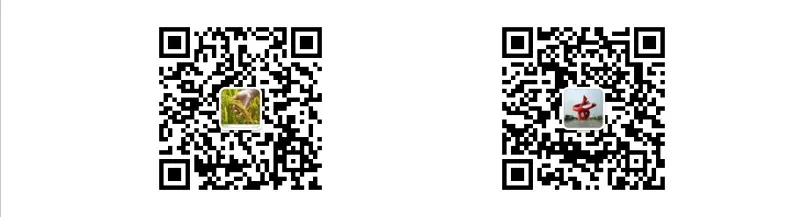 2026年东莞中考报名流程发布,1月13日起报名! 第6张 2026年东莞中考报名流程发布,1月13日起报名! 第6张