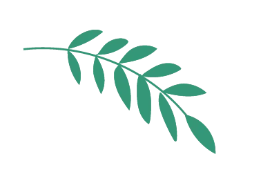 寒假“动”起来!中考体育提升计划,助你赢在“中考第一关” 第5张