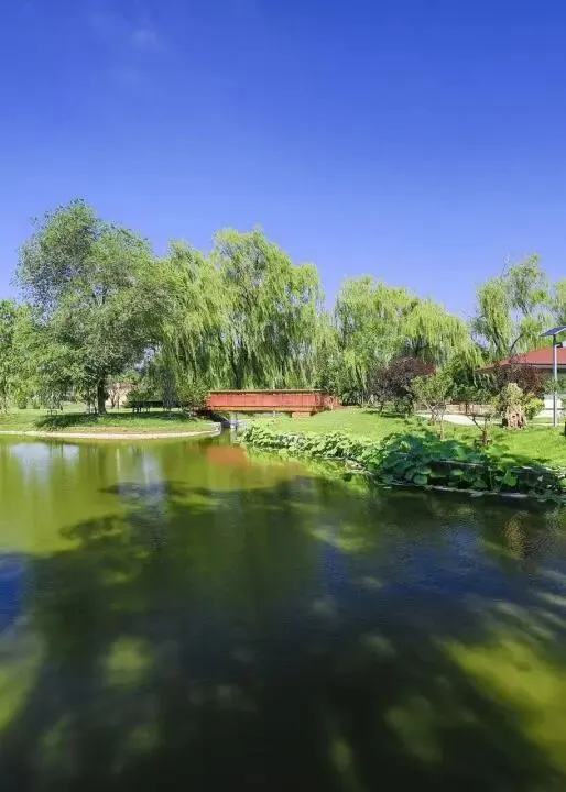 北京“2+4项目”:免中考直升高中的精英赛道,普通学生如何把握? 第9张