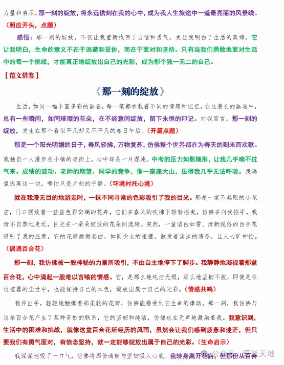 2026中考:初中语文九大作文母题整理,可下载 第8张