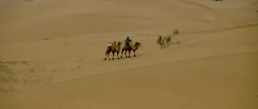 中考语法填空词性变化思路 第1张