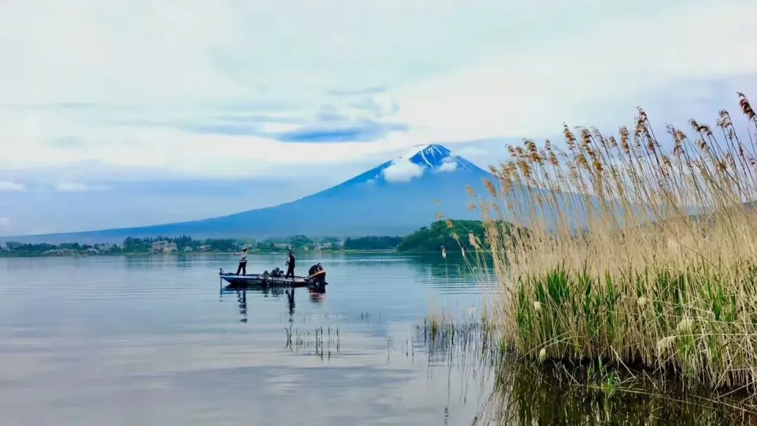 中考作文高分突破 | 《每个站点都有风景》 第10张