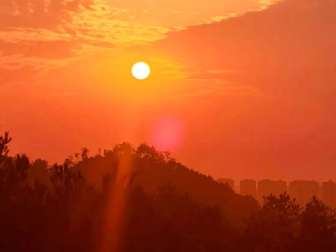 中考作文高分突破 | 《每个站点都有风景》 第22张