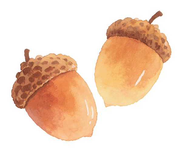 2026中考作文主题预测及范文,反反复复就考这几篇! 第8张