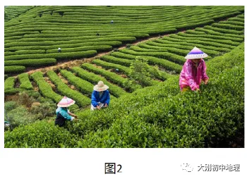 中考专训:等高线(精选50题) 第2张