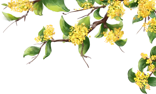 万宁市教育局2026年体育中考备考督导工作纪实 第1张 万宁市教育局2026年体育中考备考督导工作纪实 第1张