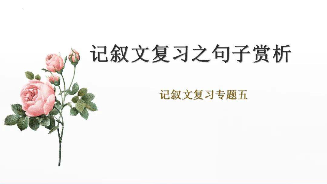 中考记叙文阅读理解复习(5)——句子赏析 第1张