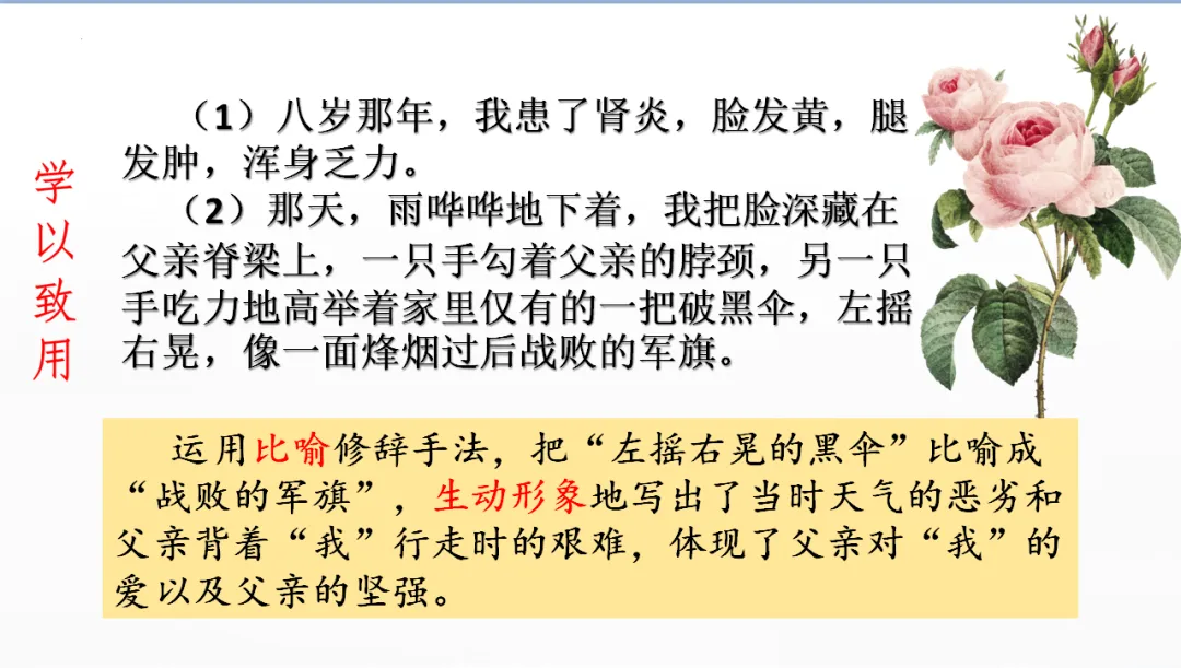中考记叙文阅读理解复习(5)——句子赏析 第11张